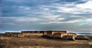 La Máquina de Arcilla: creación-destrucción del patrimonio cultural / Nivardo Córdova Salinas