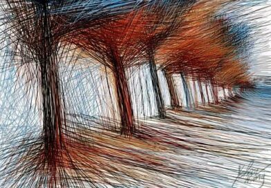 Una noche entre los árboles [Entre el Piamonte y el mar] / Ernesto Zumarán