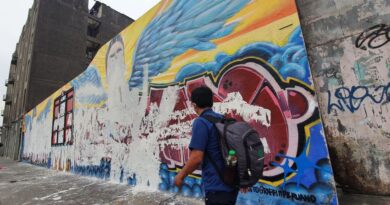 El nuevo perfil del alumno y los desafíos de la educación en el Perú actual / Carlos Varas Príncipe